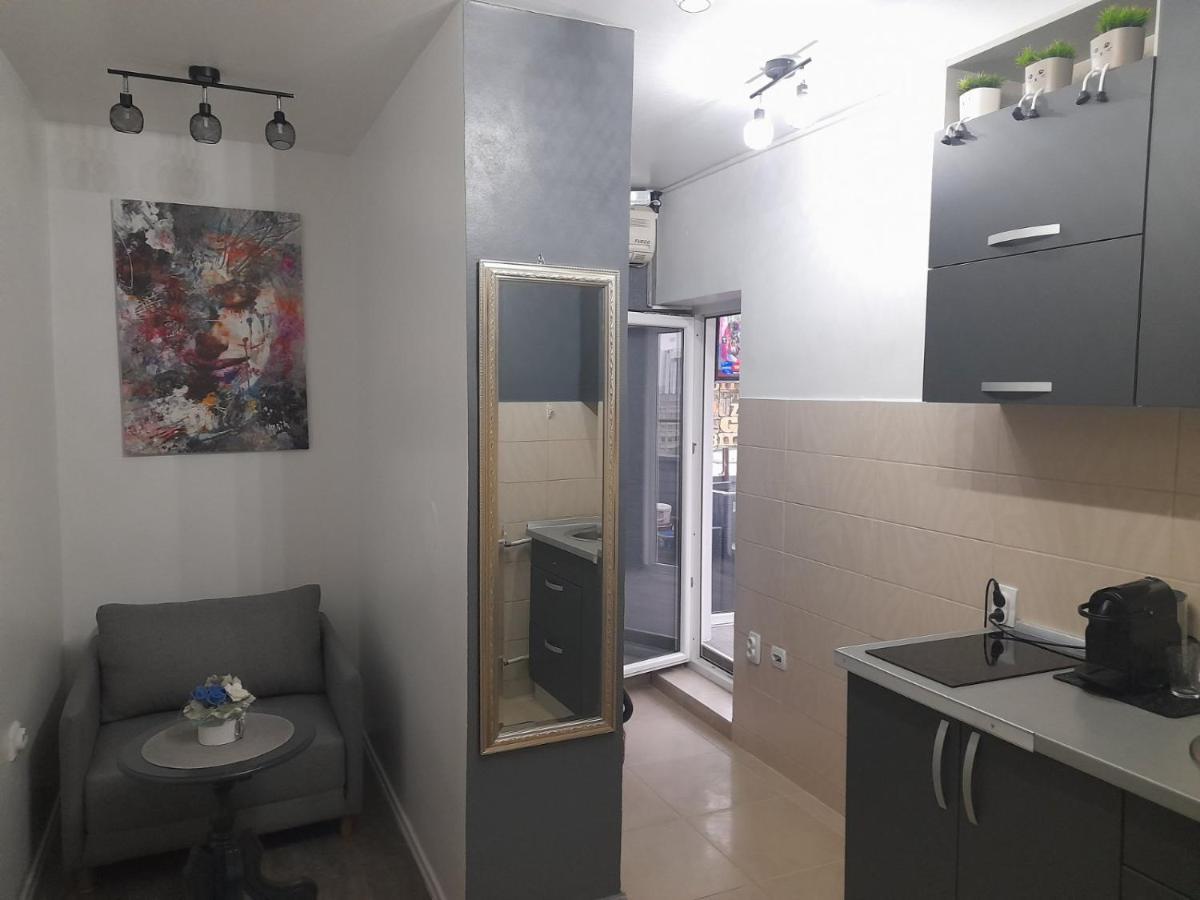 באניה לוקה Apartman Pozoriste Penthaus מראה חיצוני תמונה