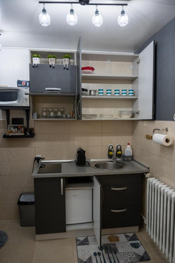 באניה לוקה Apartman Pozoriste Penthaus מראה חיצוני תמונה